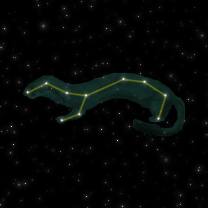 Constellation of the Weasel