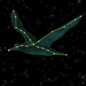 Constellation of the Albatross