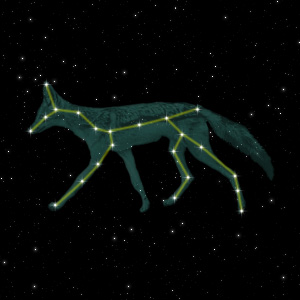 Constellation of the Jackal