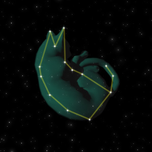 Constellation of the Cat