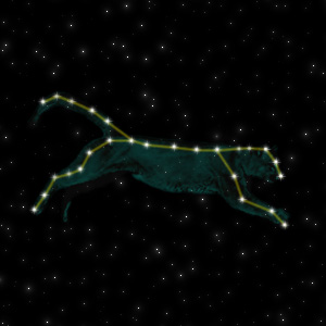 Constellation of the Panther