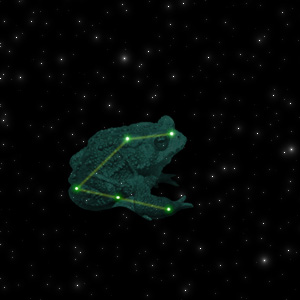 Constellation of the Toad