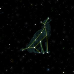 Constellation of the Wolf