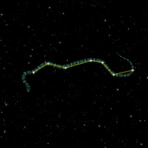 Constellation of the King Snake