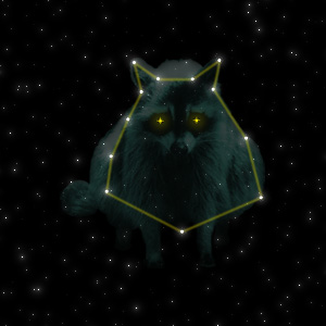 Constellation of the Raccoon