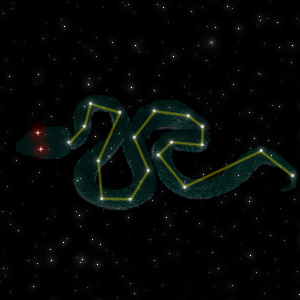 Constellation of the Viper