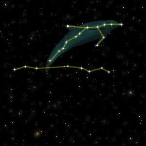 Constellation of the Dolphin