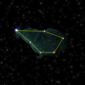 Constellation of the Shrew