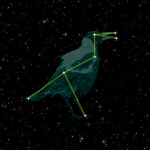 Constellation of the Magpie