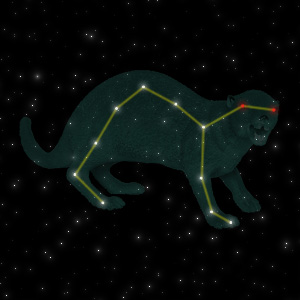 Constellation of the Mongoose