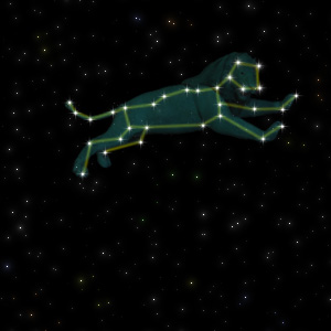 Constellation of the Lion