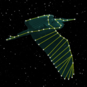 Constellation of the Heron