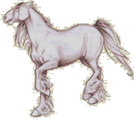 File:Horse prancing.gif