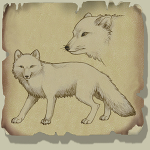 Corik's Secret fox.jpg