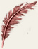 File:Icon quill tattered red.jpg