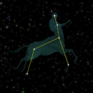 Constellation of the Centaur