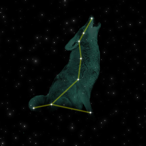 Constellation of the Coyote