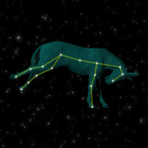 Constellation of the Donkey