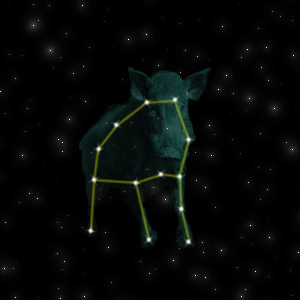 Constellation of the Boar