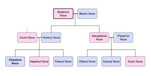 Noce Family Tree