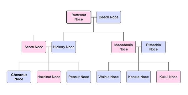 Noce Family Tree