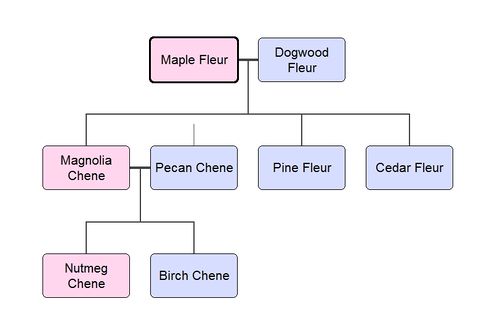 Fleur Family Tree