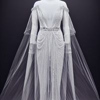 a clingy white gossamer gown embroidered with silver filigree